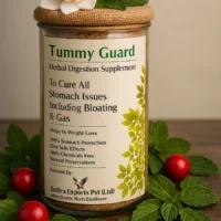 Tummy Guard Herbal Digestion Supplement – Natural Relief for Bloating, Gas & Stomach Comfort